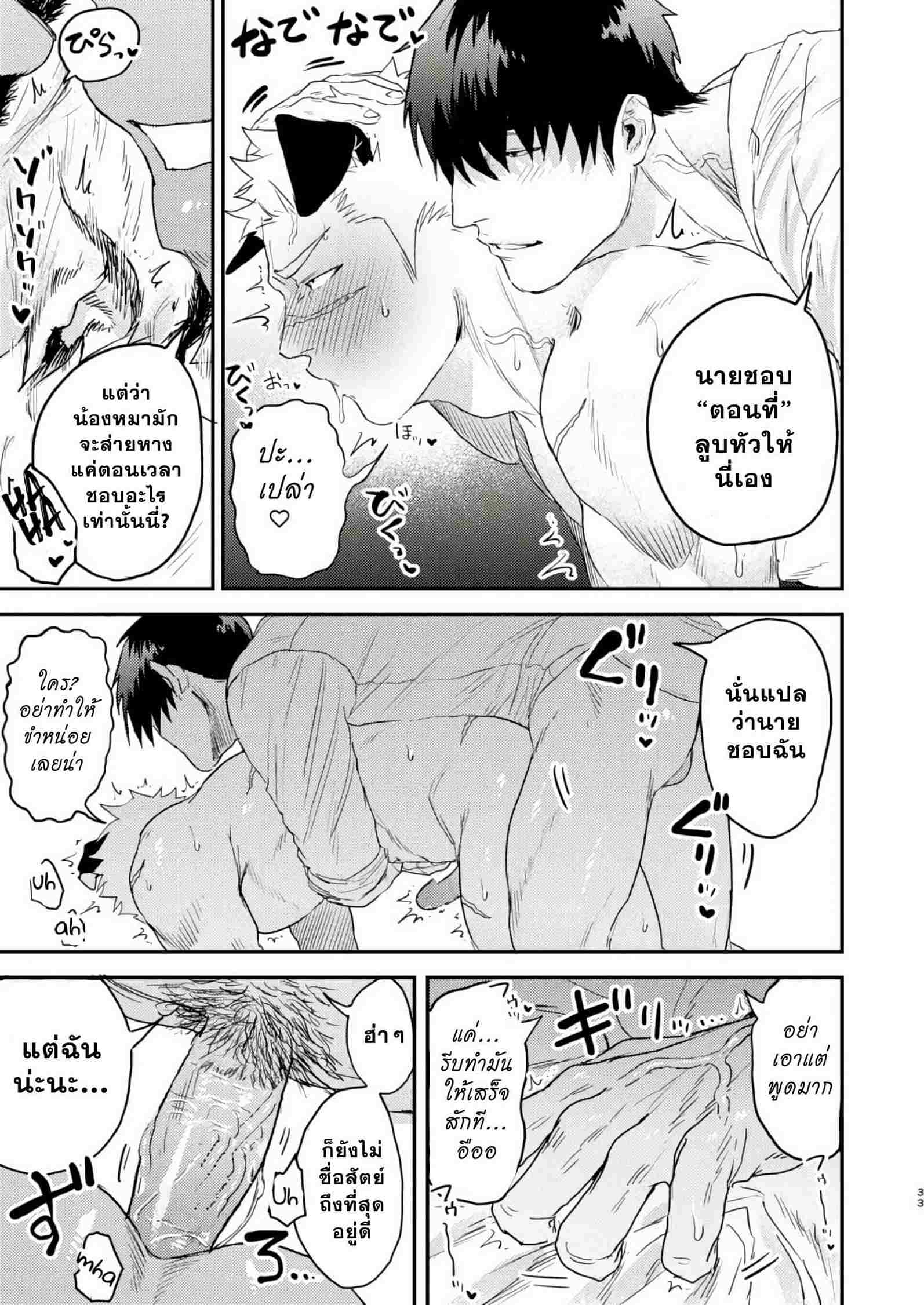 หมาของผมดูเหมือนจะกำลังติดสัด